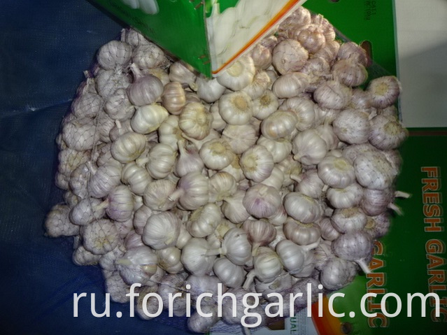 New Crop 2019 Normal White Garlic